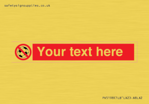 Custom No Ball Games Sign